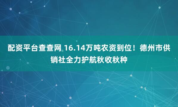 配资平台查查网 16.14万吨农资到位！德州市供销社全力护航秋收秋种